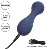 Calexotics - Charisma Temptation Masseur 12 Fonctions Violet